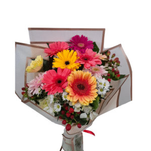 Viva la Vida» – Gerberas Multicolor