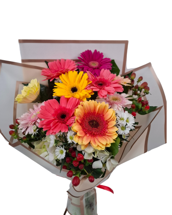 Viva la Vida» – Gerberas Multicolor