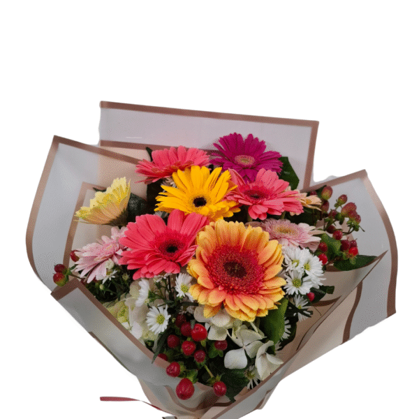 Viva la Vida» – Gerberas Multicolor - Imagen 2